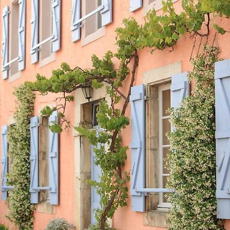 La Maison D'Anais Vic-en-Bigorre Luaran gambar