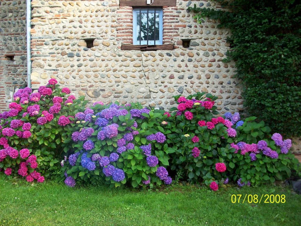 La Maison D'Anais Vic-en-Bigorre Luaran gambar